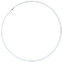 Rodeo hoop
